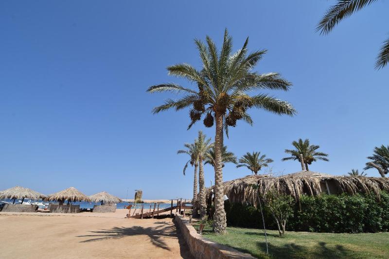 Sharm El Naga And Diving Center