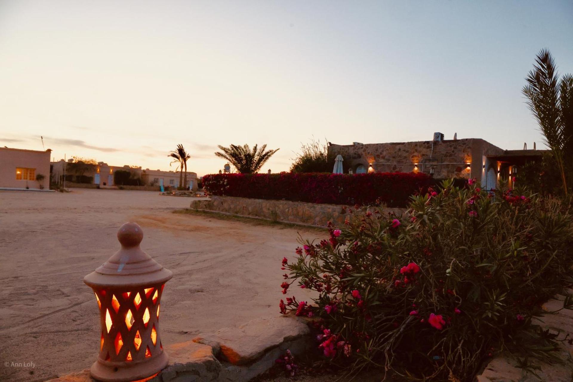 Sharm El Naga And Diving Center