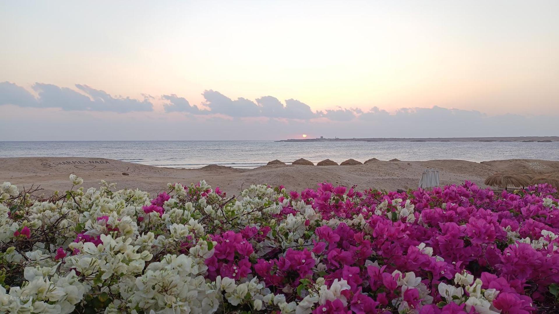 Sharm El Naga And Diving Center