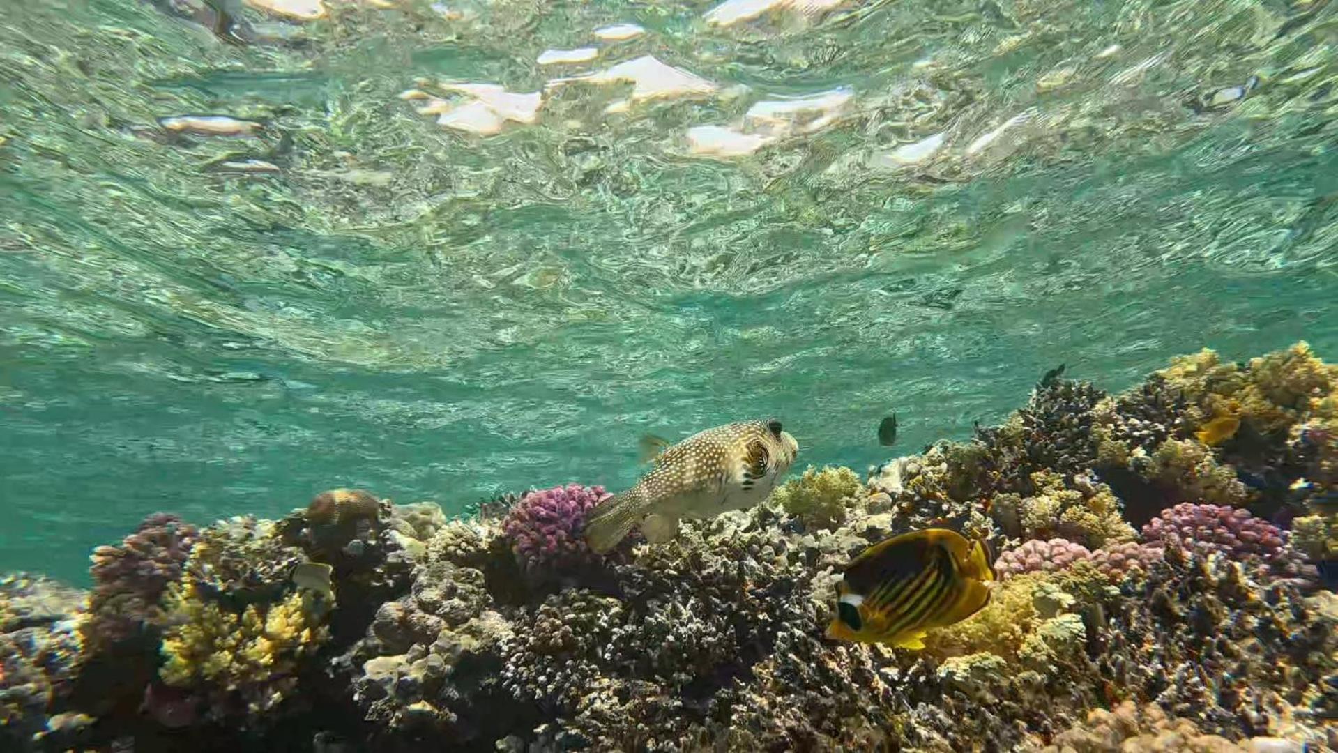 Sharm El Naga And Diving Center Campsite Hurghada