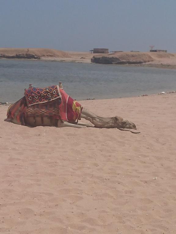 Sharm El Naga And Diving Center 3* الغردقة