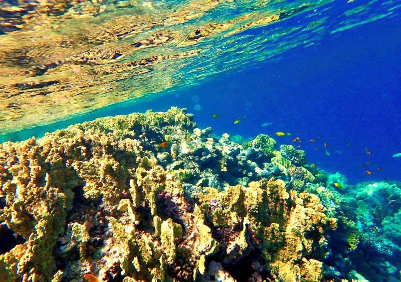 Sharm El Naga And Diving Center مكان تخييم