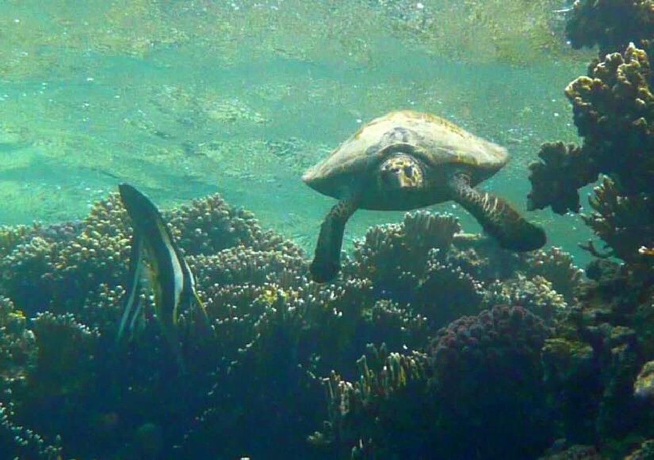مكان تخييم Sharm El Naga And Diving Center 3*