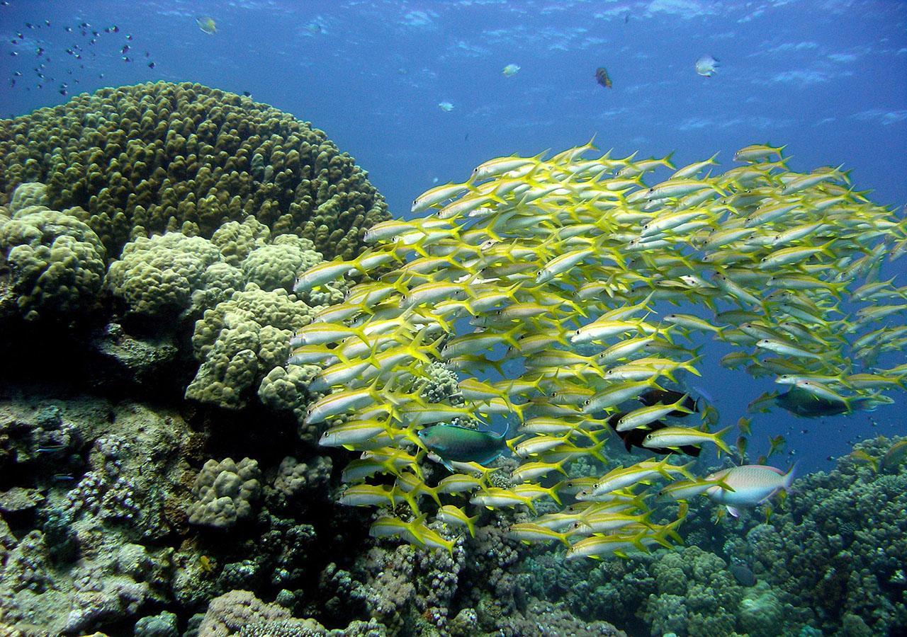 Sharm El Naga And Diving Center 3* الغردقة