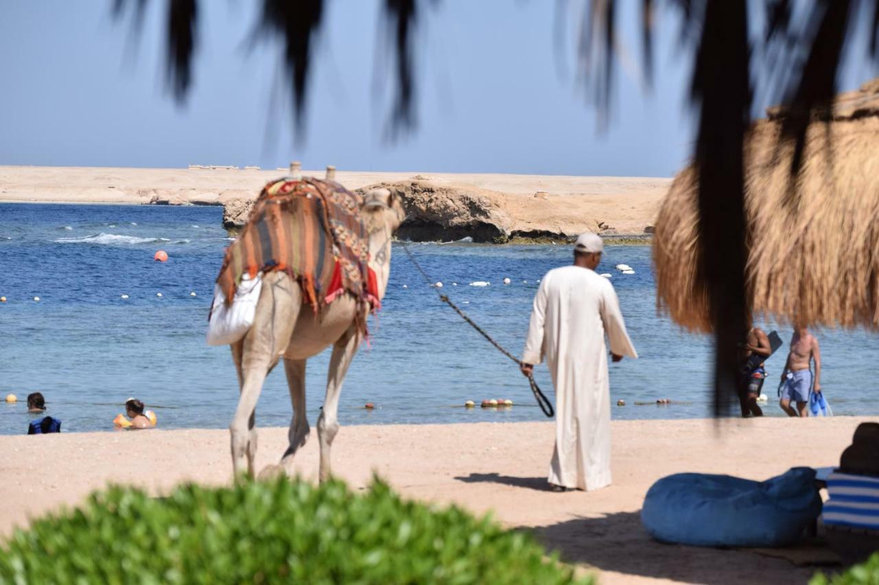 Sharm El Naga And Diving Center 3* Хургада