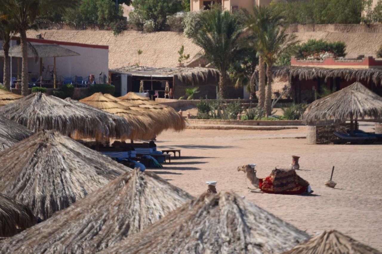 Кемпинг Sharm El Naga And Diving Center Хургада