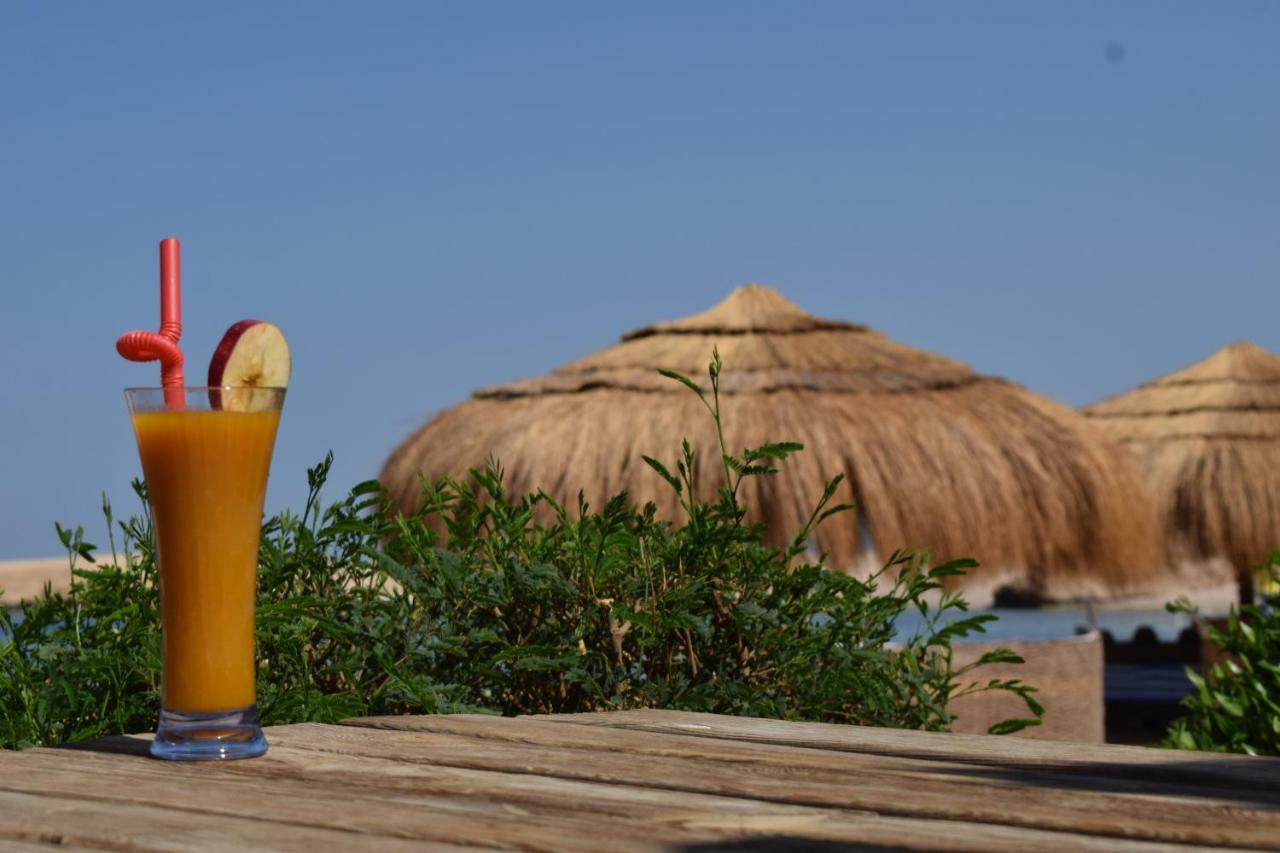 Sharm El Naga And Diving Center مكان تخييم الغردقة