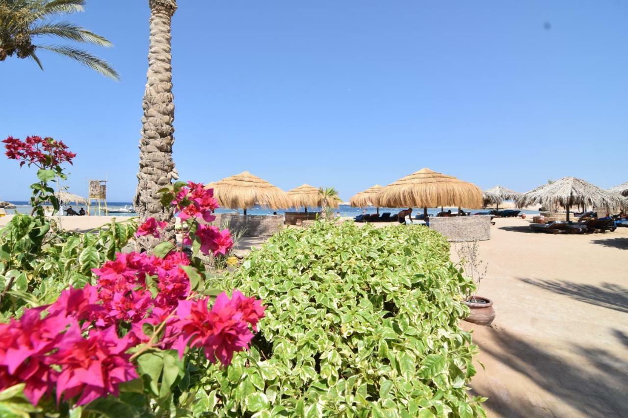 Sharm El Naga And Diving Center Хургада